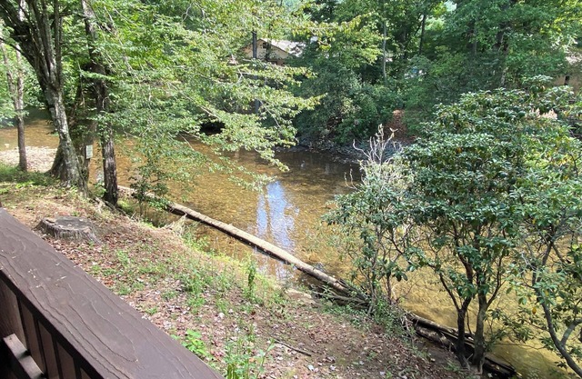 Aug last minute discounts, Listen To The River Catch Release Fishing. Dogs Ok