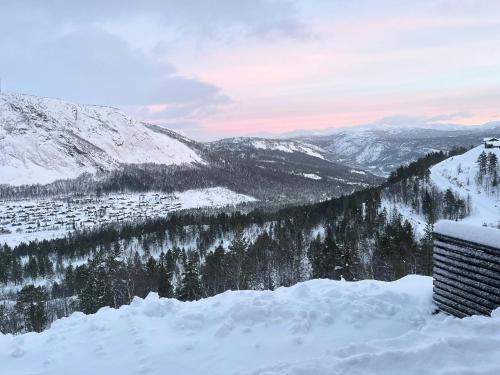 Authentic Cabin Life With Løefjell View