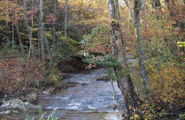Authentic Farmhouse On Weaver Creek, Near Town And Lake