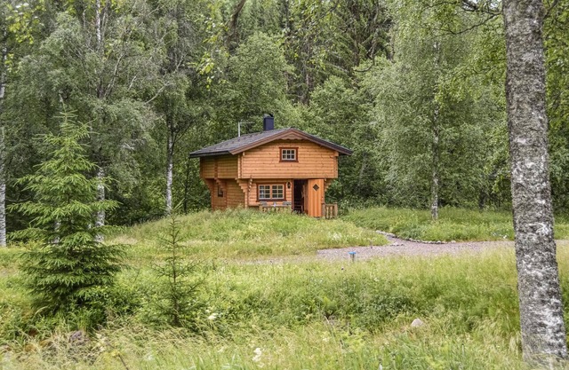Awesome home in årjäng with WiFi
