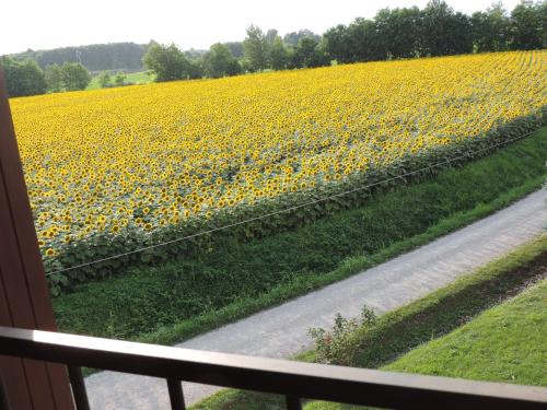 B&B I Prati di Varmo