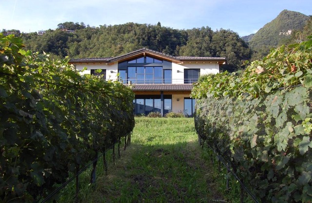 B&B Il Vigneto