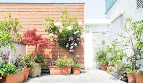 B&B Vimo - Appartamento con terrazzo privato Milano San Raffaele - Vimodrone