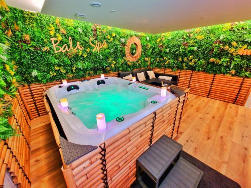 BALI SPA-4 Pers-Jacuzzi-Parking-Jardin-Clim-Colmar