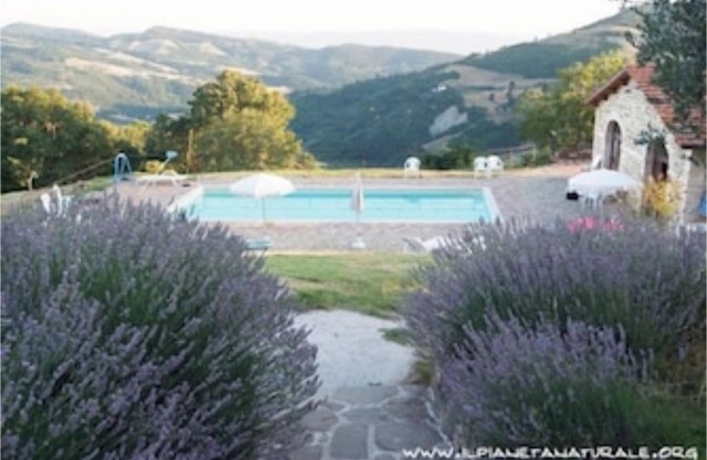 Basilico, Agriturismo Ca'Mazzetto, Organic farmhouse in Franciscan peace trail