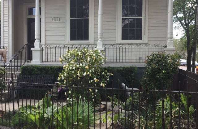 Bayou St. John Jazz Fest Gem