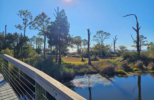 Bayside Retreat w/bay access! Dogs OK, Large Pond, Lots of Wildlife!