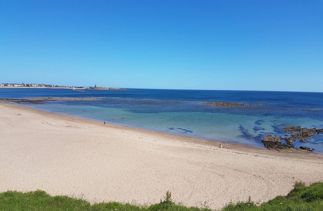 Beach Cove View