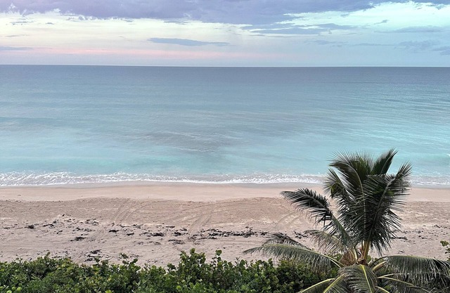 Beach Front Paradise