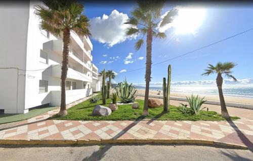 Beach House