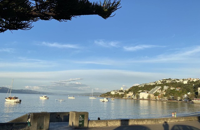 Beach house in Oriental Parade