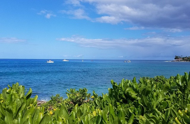 BEACH HOUSE on Scenic Makaha Beach with Free High Speed WIFI and Onsite Parking