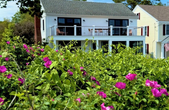 Beach Plum at Goose Rocks Beach