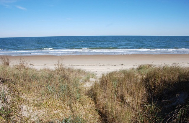 Beach Side Hideaway 1 Bedroom Condo by RedAwning