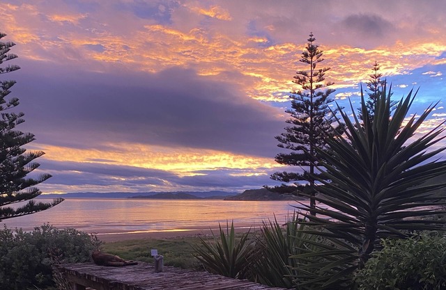 Beachfront Bliss at Makorori Beach