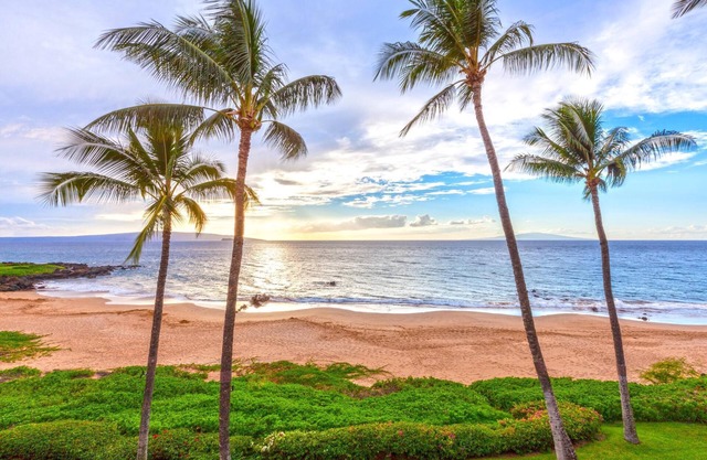 Beachfront Condo B303