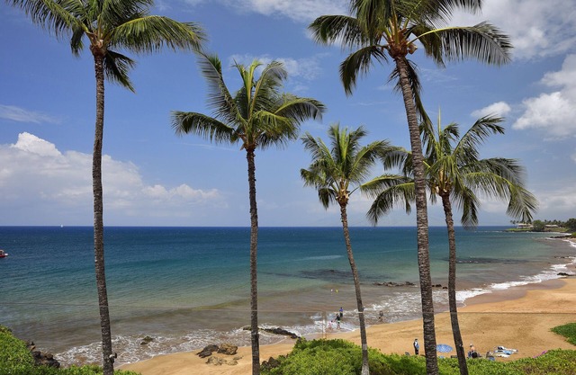 Beachfront Condo E 303/Incredible views/Pickleball/Great Snorkelingn
