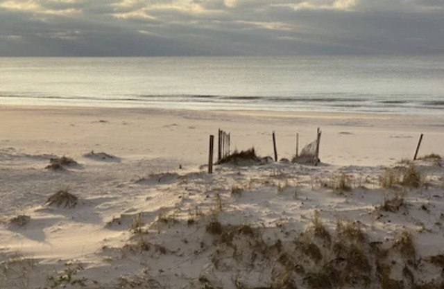 Beachfront Condo with Amazing Views!