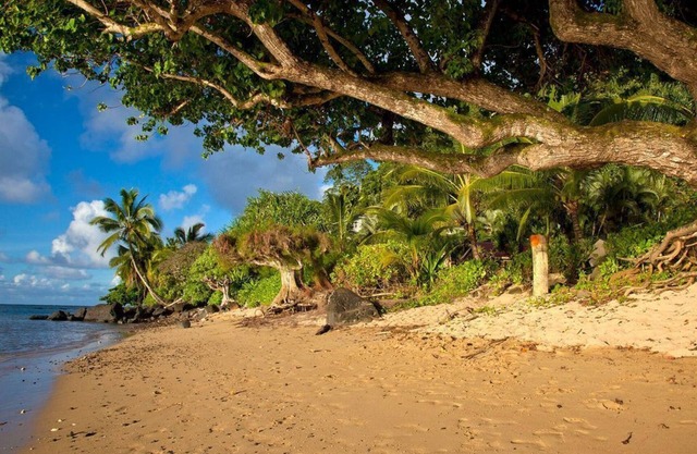 Beachfront Cottage TVNC#1361