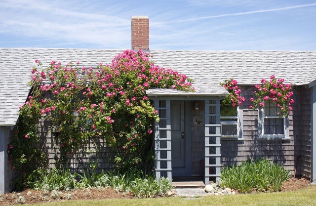 Beachfront Cottage with Amazing Sunset views & Quiet Setting.