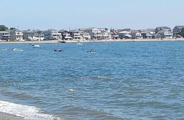 Beachfront getaway in Milford