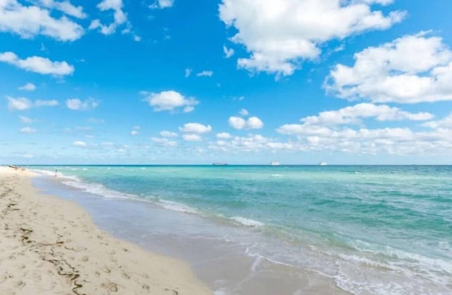 BeachFront On The Sand #229, FreeParking, South of 5t, 335 Ocean Dr, Miami Beach