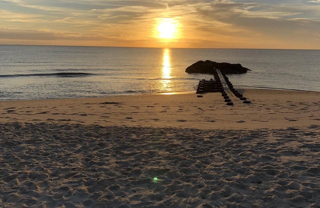 BEACHFRONT! PET FRIENDLY COTTAGE with unobstructed SPECTACULAR SUNSET views !
