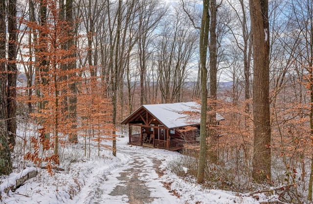 Bear Hugs cabin nestled in the woods.