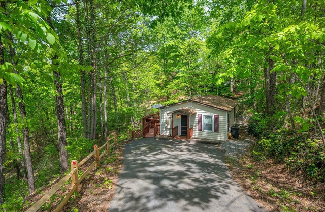Bear Necessities Cozy Quiet Peaceful Mountain Cabin