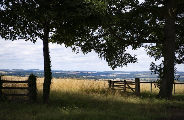 Beau Repaire - a small cottage sleeping two guests, two part of the Castle Howard Estate