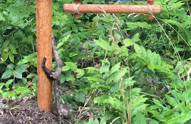 Beautiful 3 Bedroom Door County, Heavily Wooded, Pet Friendly, NOW OFFERS WIFI