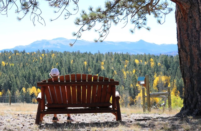 Beautiful and peaceful Cabin on 35 Acres!