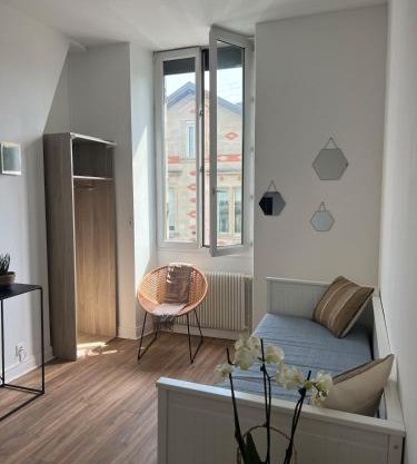 Beautiful apartment Bordeaux Bagatelle