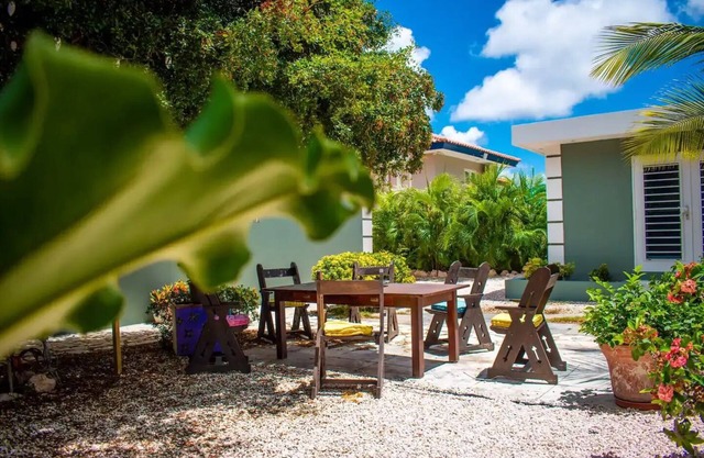 Beautiful apartment good neighborhood nn