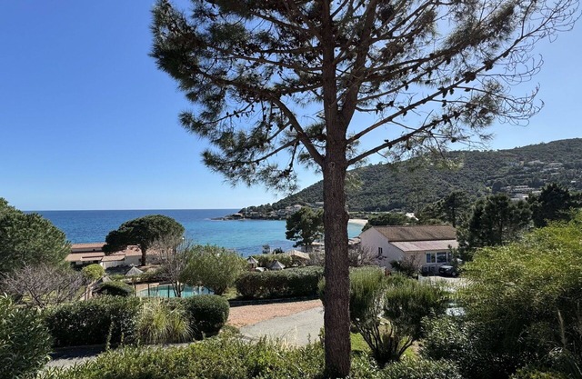 Beautiful apartment for 6 guests with A/C, WIFI, pool, terrace, pets allowed and panoramic view