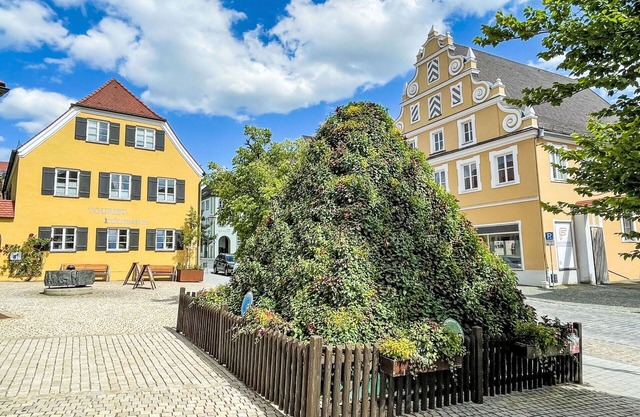 Beautiful apartment in villa for 4 guests with WIFI, TV, terrace and parking