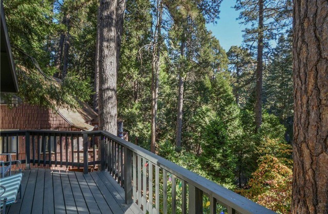 Beautiful Cabin nestled in forest