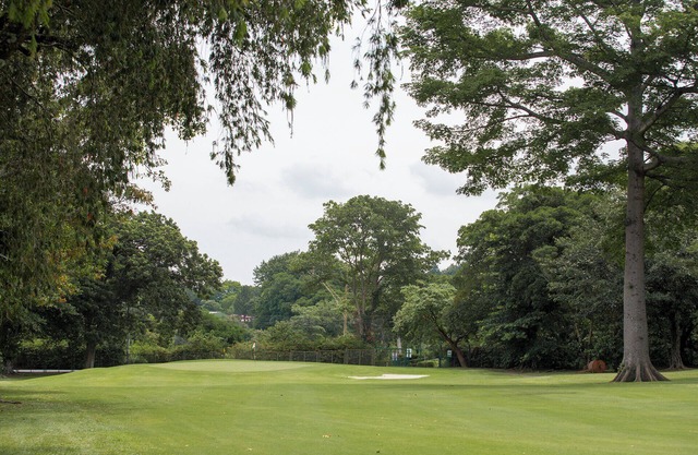 Beautiful 1bd. condo on golf course near S.J airport - golf & tennis package