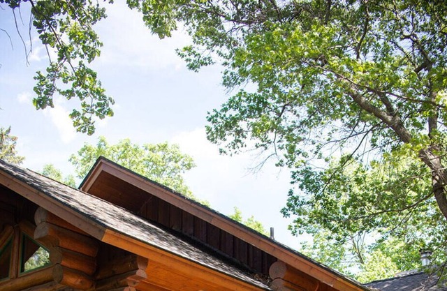 Beautiful Full Log Cabin on the Whitefish Chain