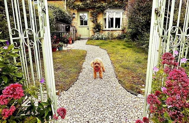 Beautiful cotswold home sleeps 5 parking central beautiful gardens pet friendly