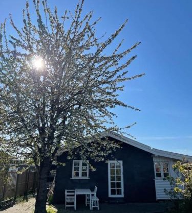 Beautiful House, just a few km from the vibrant center of Copenhagen