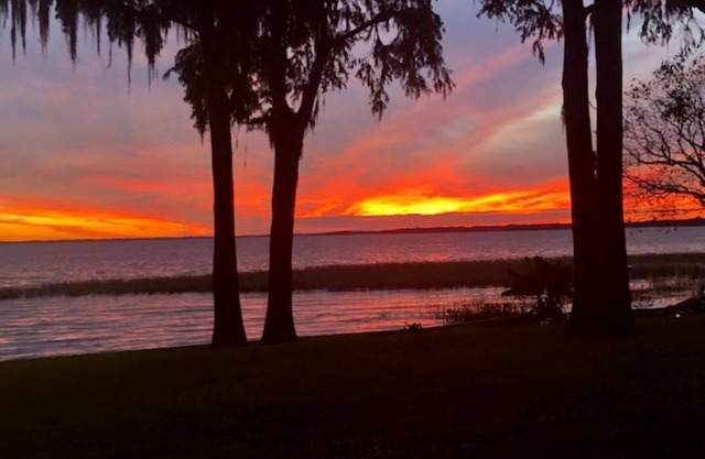 Beautiful Lake Harris sunsets and wildlife on the property! Enjoy gentle breeze