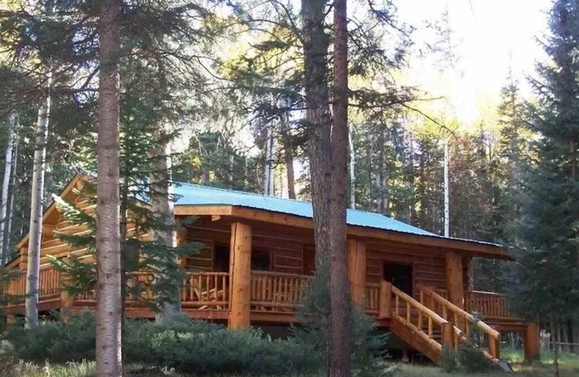 BEAUTIFUL MOUNTAIN LOG CABINnPETS ALLOWED