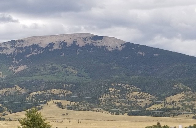 Beautiful Mountain Views. Cozy/Quiet & centrally located to all the mountain fun