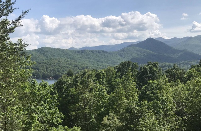 Beautiful Mtn View, Screen Porch, King Master, 2 miles to town