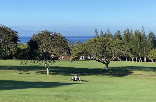Beautiful Ocean & Golf course views at this Kapalua Golf Villa, discounted 2024