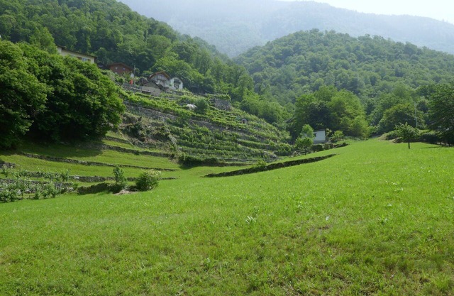 Beautiful private villa for 4 people with WIFI, TV, patio and pets allowed