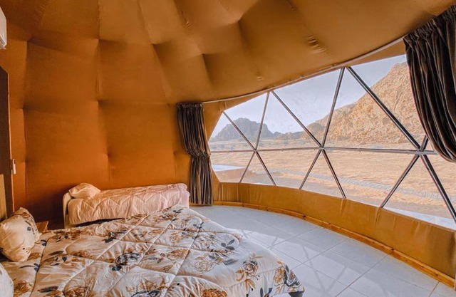 Bedouin oasis