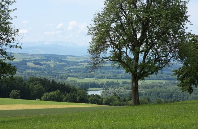 Being simple, out of everyday life and into an intact nature