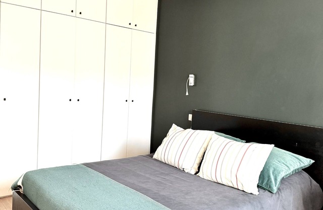 Bel Appartement Parisien